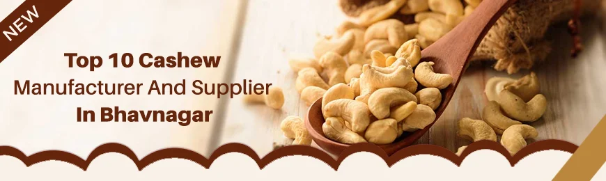 Cashew Manufacturers in Bhavnagar