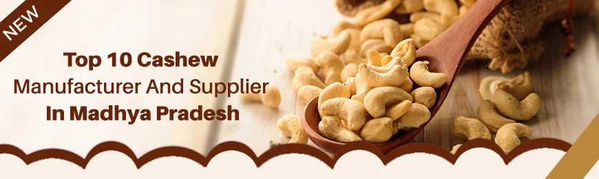 Cashew Manufacturers in Madhya Pradesh