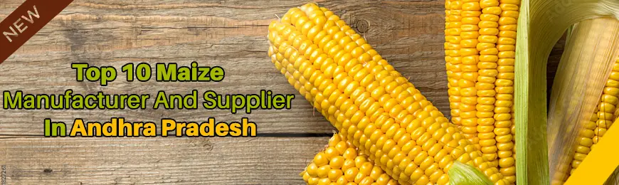 Maize Manufacturers in Andhra Pradesh