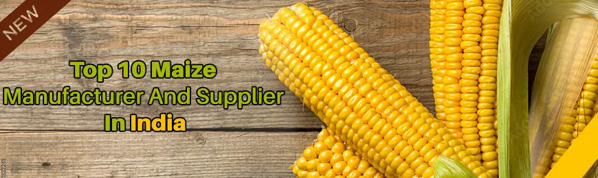 Maize Manufacturers in India