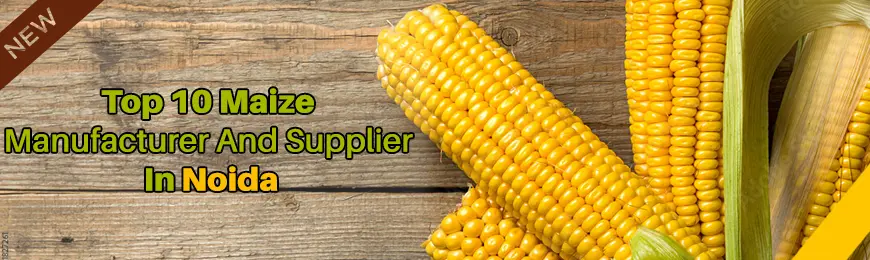 Maize Manufacturers in Noida