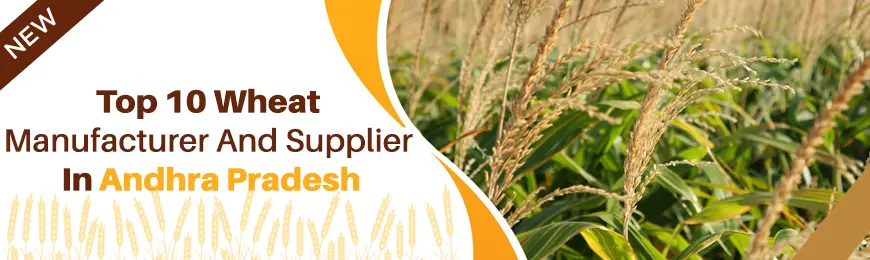 Wheat Manufacturers in Andhra Pradesh