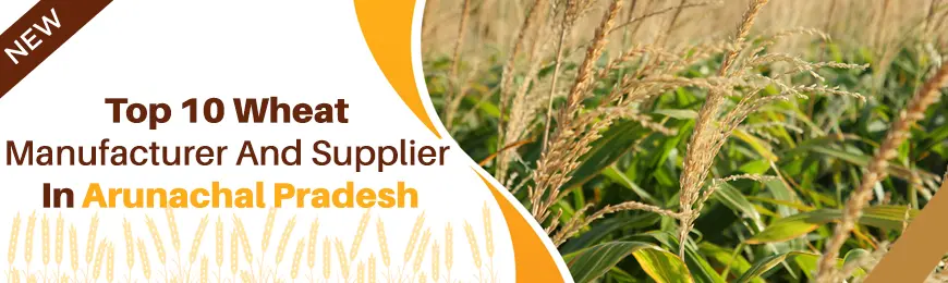 Wheat Manufacturers in Arunachal Pradesh