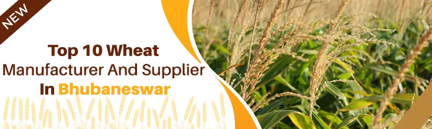 Wheat Manufacturers in Bhubaneswar