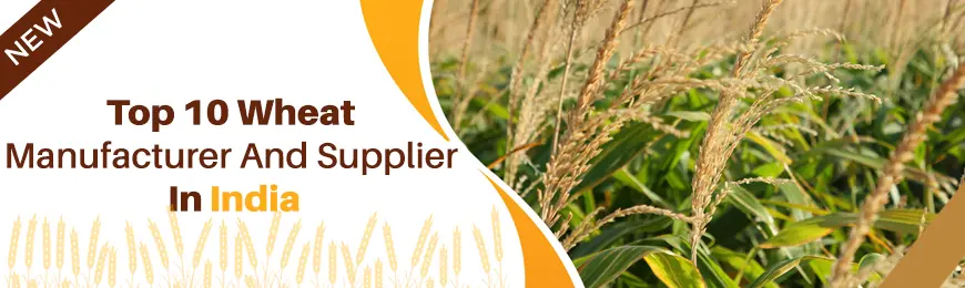 Wheat Manufacturers in India