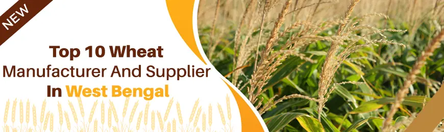 Wheat Manufacturers in West Bengal